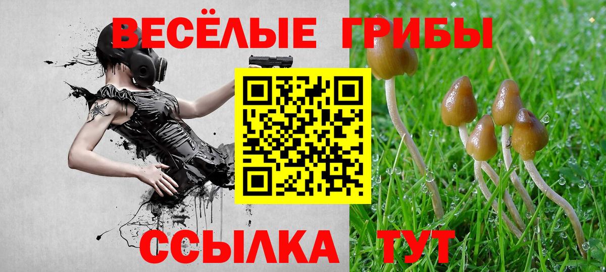 Галлюциногенные грибы мухоморы Елец