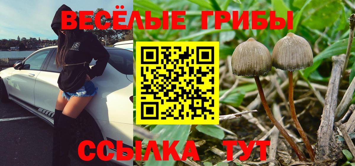 Галлюциногенные грибы мицелий  Вход с VPN  Елец  Псилоцибиновые грибы Magic Shrooms 